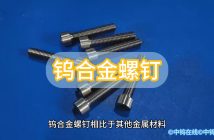 钨合金螺钉图片